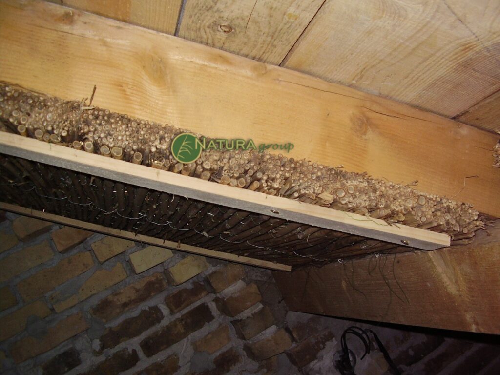 Termoizolacija od trske